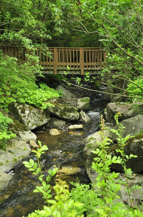 Stay Berkshires Вільямстаун Екстер'єр фото